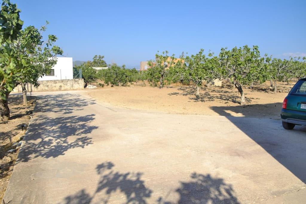 Nick'S House Villa Aegina Kültér fotó