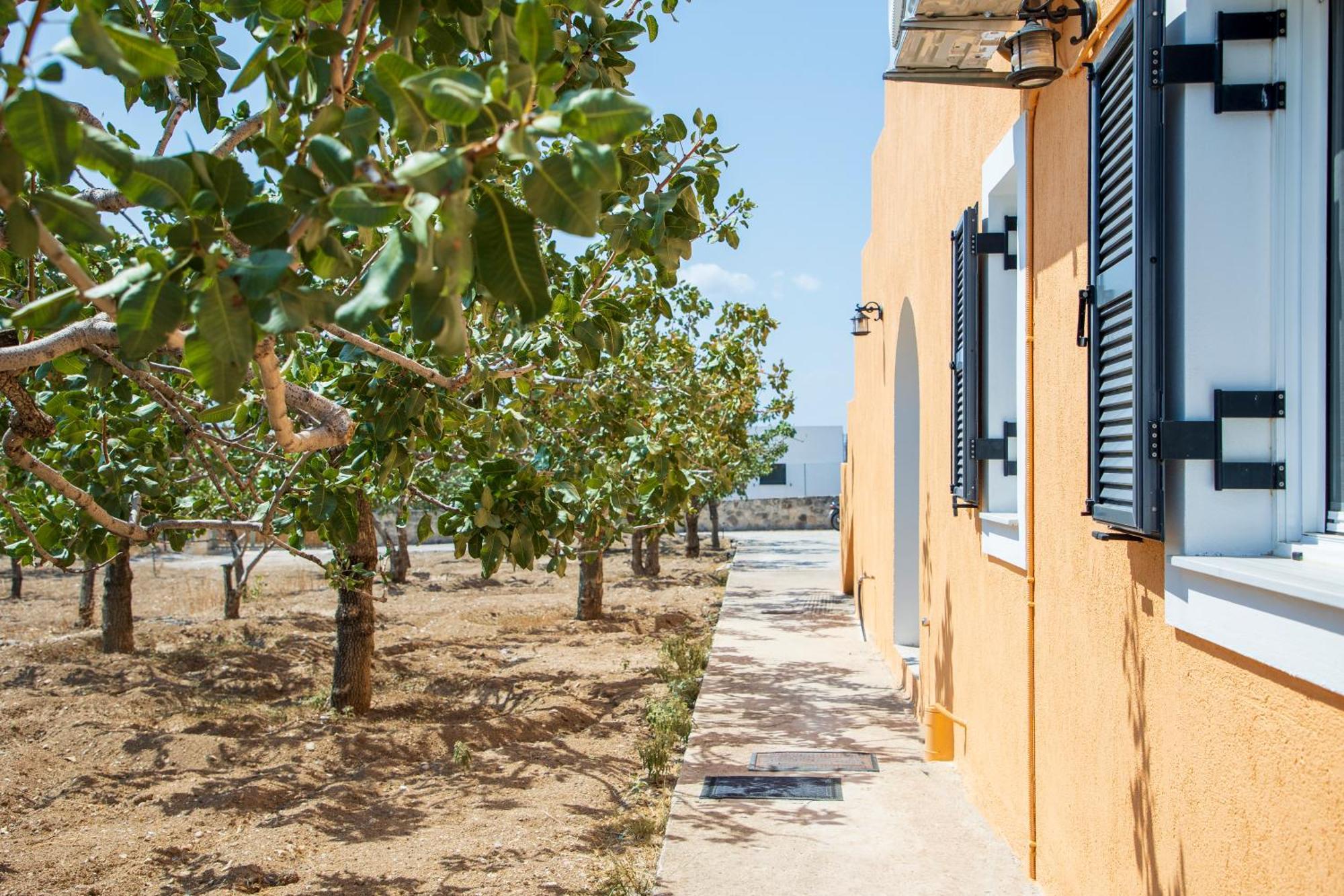 Nick'S House Villa Aegina Kültér fotó